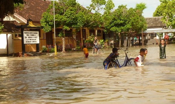 178 desa di Bojonegoro yang jadi langganan banjir tahunan