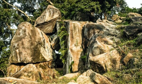 Pesona wisata Watu Gandul Bojonegoro, karya seni alam di tengah hutan jati