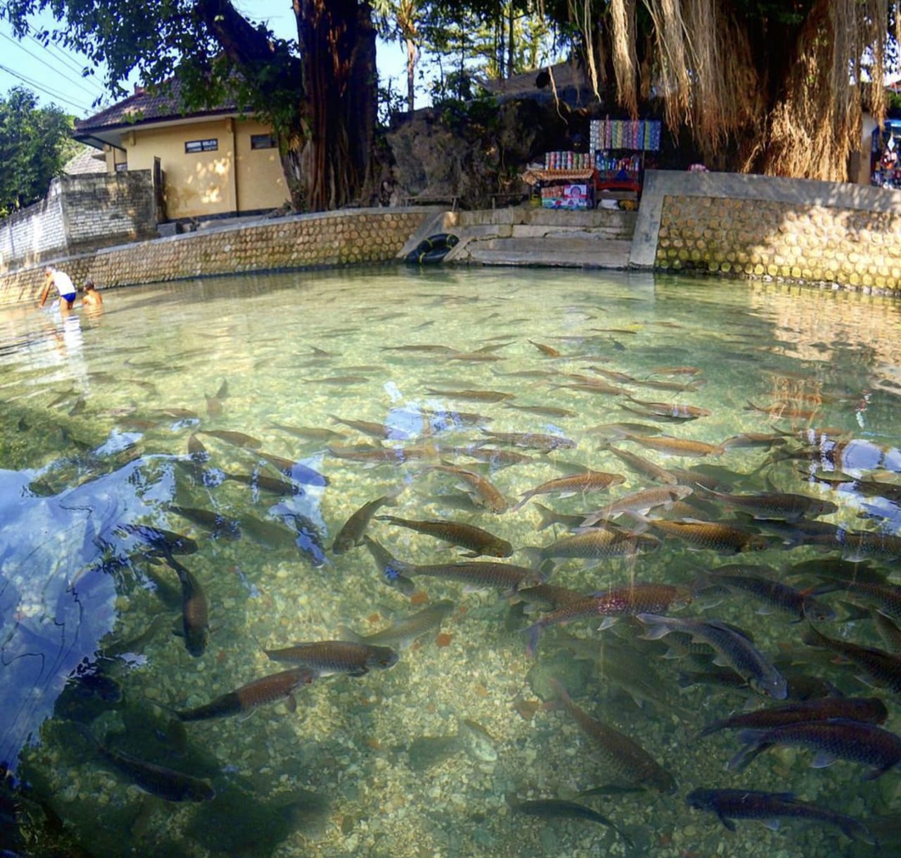 Ngerong Tuban