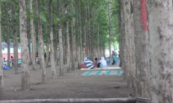 Menikmati alam Taman Candi, wisata edukasi flora dan fauna yang asri