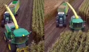 Panen Menggunakan Mesin ini Terlihat Mudah Banget