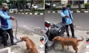 Bukannya Parkir Motor Malah Parkir Anjing, Kocak Abis