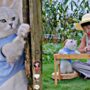 Kucing bermain