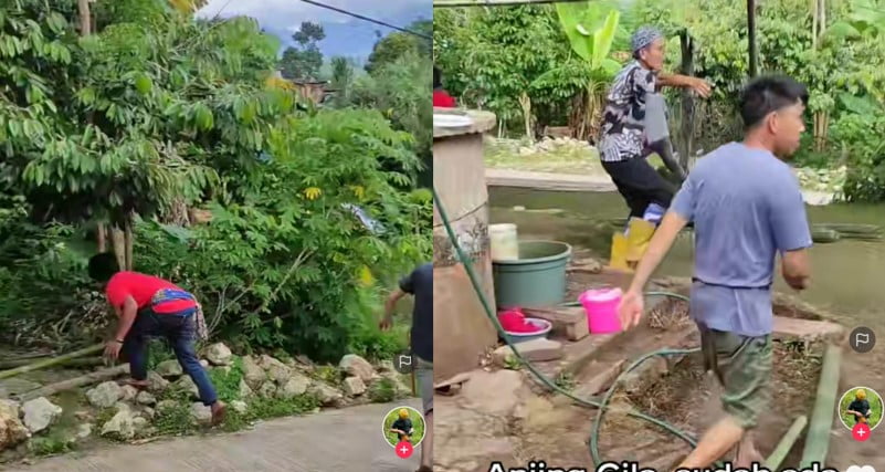 Anjing gila
