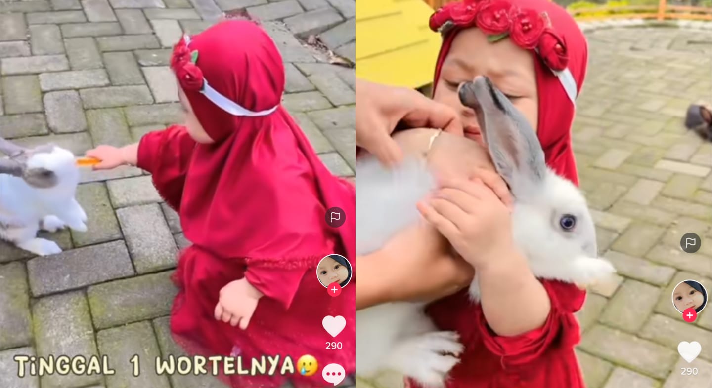 Kelinci lucu bermain
