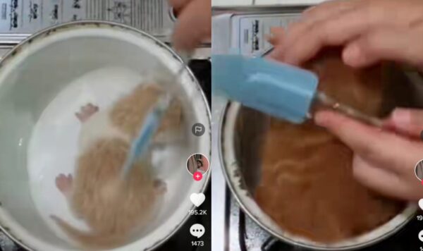 Wanita Ini Bagikan Video Tutorial Memasak Kucing, Bikin Ngakak