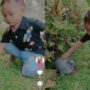 Kelinci bermain