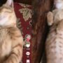 Kucing tidur