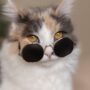 Mitos Kucing 3 Warna