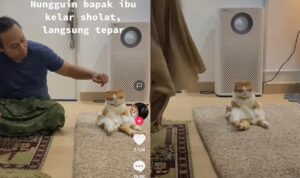 Video Lucu Kucing Ngantuk Saat Nungguin Pemiliknya Sholat, Gak Bisa Nahan