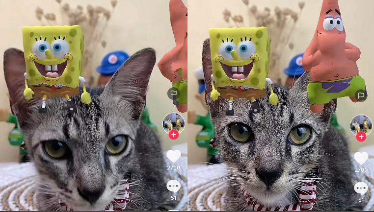 Kucing Lucu