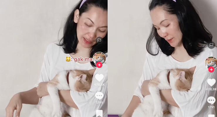 Kucing Manja