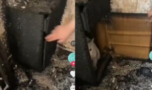 Video Kucing Berhasil Selamat Dari Kebakaran Rumah, Keajaiban Tuhan