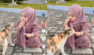 Video Kucing Rebutan Makanan Dengan Anak Kecil, Lucu Banget