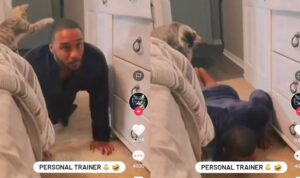 Video Kucing Menjadi Pelatih Fisik, Anak Didiknya Tak Boleh Istirahat