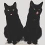 Kucing Hitam Menurut Al Quran
