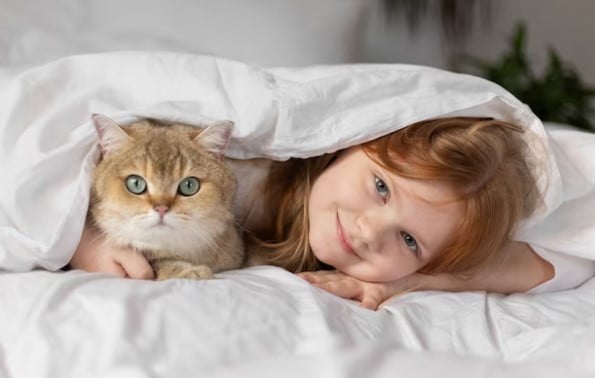 Perbedaan dan Persamaan Kucing Jantan dan Betina