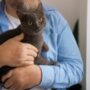 Alasan Australia Membunuh Banyak Kucing