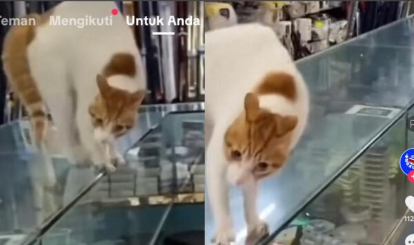 Penjaga Toko Ini Patut Diberi Bintang 1, Ada Tamu Langsung Ngamuk