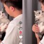 Kucing Lucu