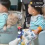 Kucing Lucu