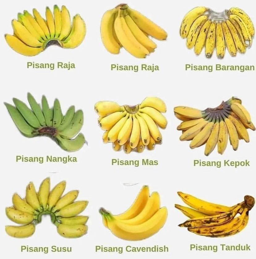 Cara Memutihkan Wajah Secara Alami dan Cepat Dalam 1 Hari Dengan Mudah