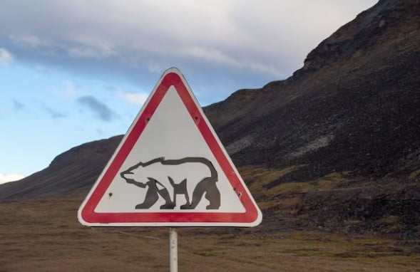 Rambu Segitiga Terbalik