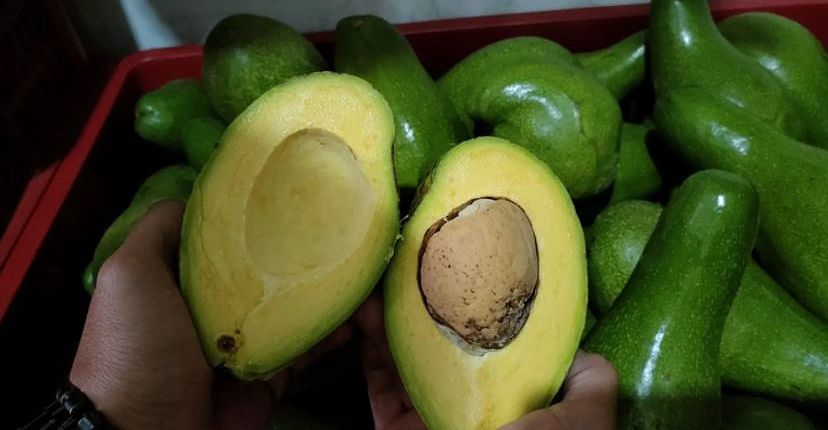 Cara Memutihkan Wajah Secara Alami dan Permanen dengan Mudah