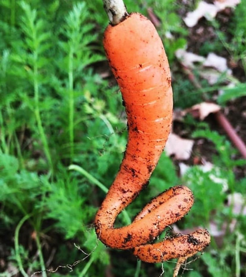 Cara Membuat Masker Alami dari Bahan Dapur, Lebih Hemat dan Aman