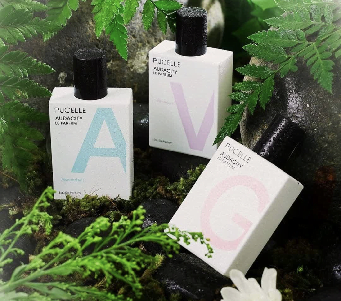 Ini Dia 5 Parfum Indomaret yang Memikat Hati! Aroma Tahan Lama dan Bikin Candu Abis!