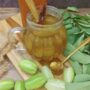 Rahasia Luar Biasa Daun Belimbing Wuluh: Bukan Hanya Hipertensi dan Diabetes, Ternyata Bisa Sembuhkan 11 Masalah Kesehatan Lainnya!