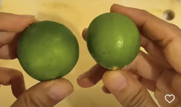 Tak Disangka! 9 Manfaat Jeruk Nipis Bagi Kesehatan yang Jarang Diketahui, Nomer 3 dan 4 Idaman Para Wanita