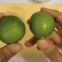 Tak Disangka! 9 Manfaat Jeruk Nipis Bagi Kesehatan yang Jarang Diketahui, Nomer 3 dan 4 Idaman Para Wanita