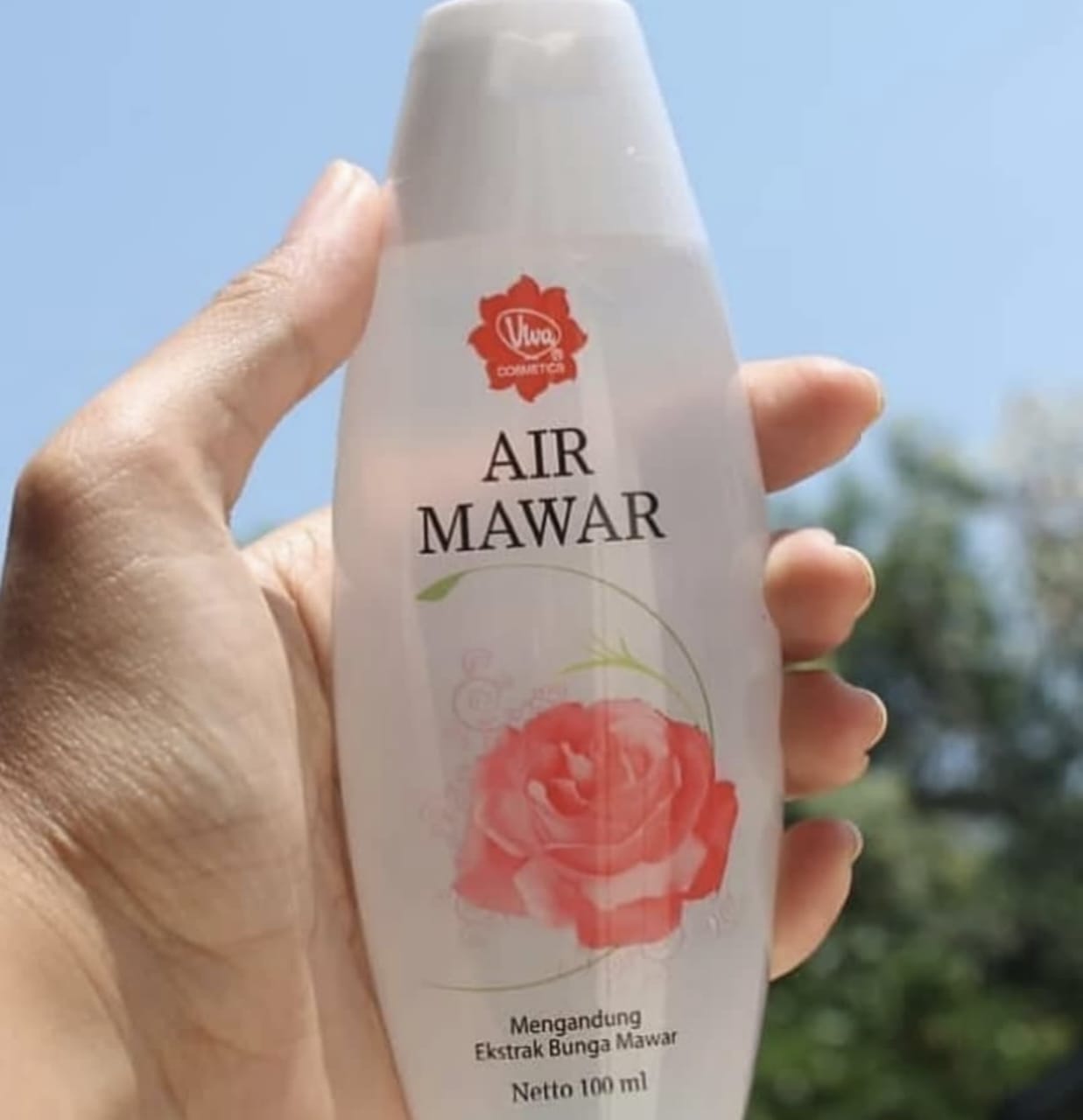 Transformasi Luar Biasa! Hanya dengan Viva Air Mawar, Wajahmu Bersinar Tanpa Batas! Temukan 5 Keajaiban Viva Air Mawar untuk Kulitmu!