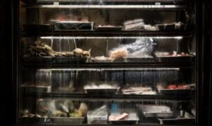 Trik Ampuh Agar Bunga Es Tak Bermunculan di Dalam Freezer Tanpa Perlu Plastik! Wah, Kamu Harus Coba Ini!