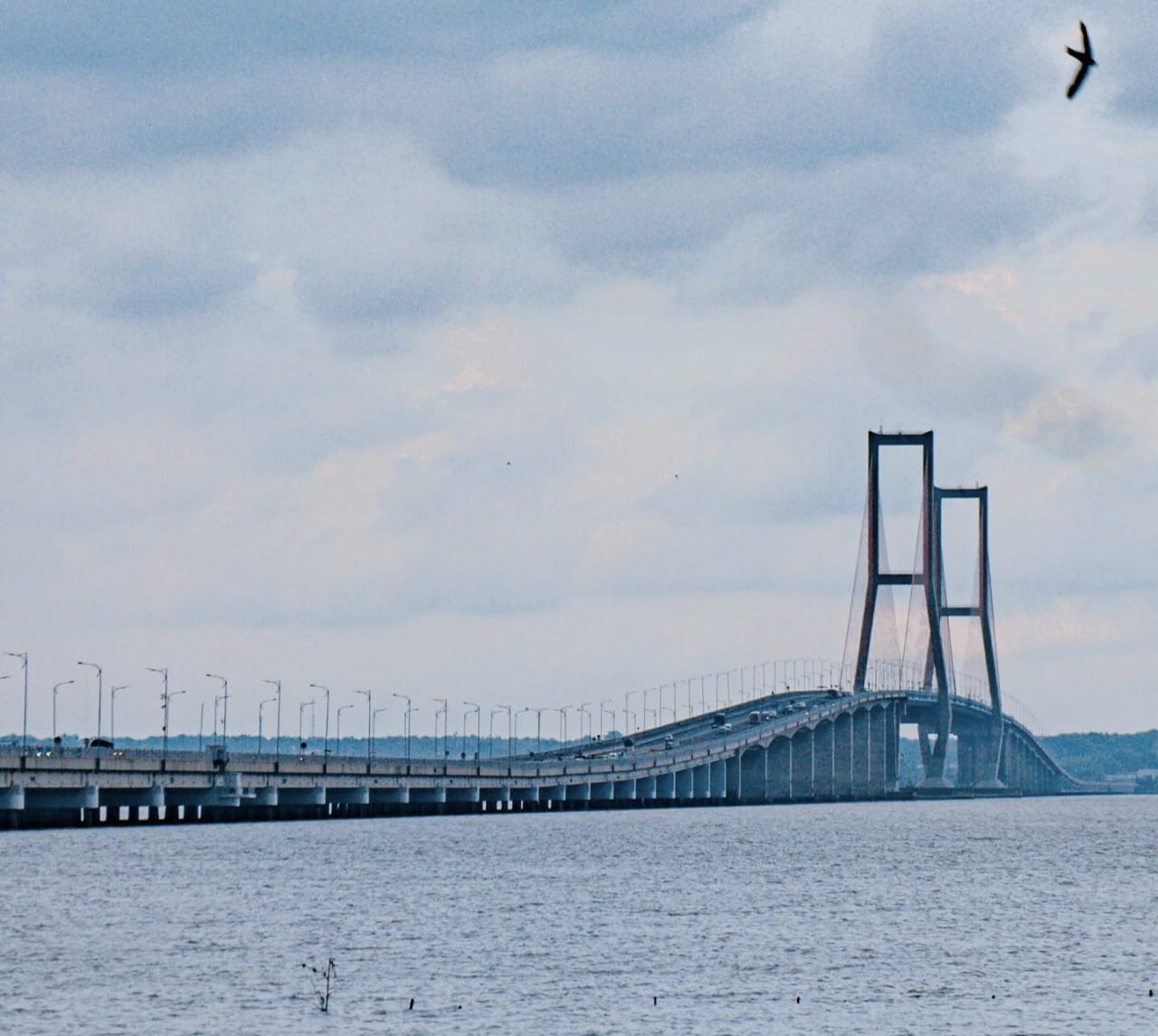 Mitos Jawa-Bali tentang Tidak Boleh Terhubung Jembatan Kini Terjawab, Faktanya Jawa dan Madura Sudah Terhubung