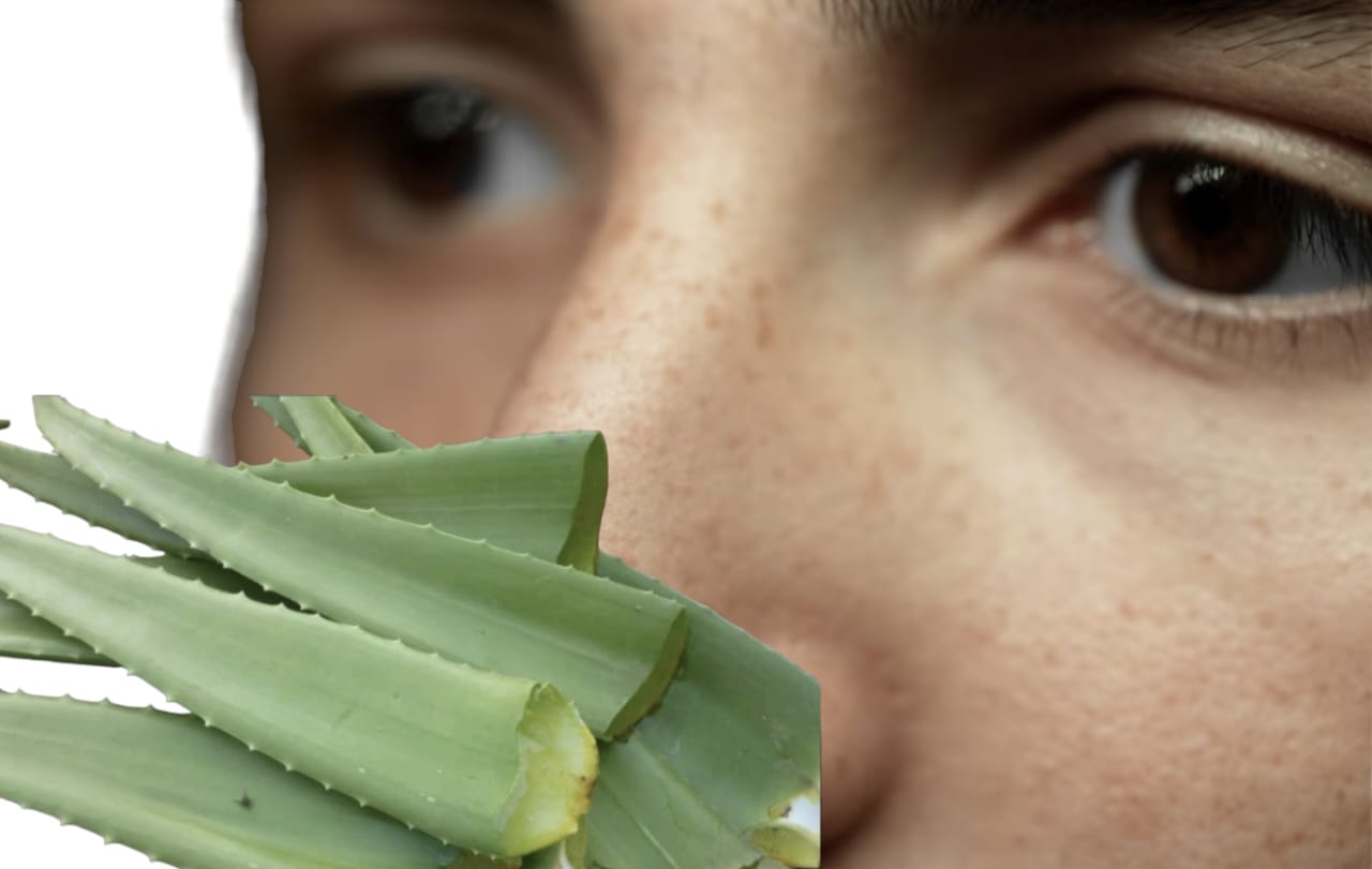 7 Rahasia Ampuh untuk Wajah Glowing Bebas Flek Hitam dengan Lidah Buaya! Siapa Sangka Cara-cara Ini Ternyata Begitu Mudah dan Efektif. Jangan Lewatkan!