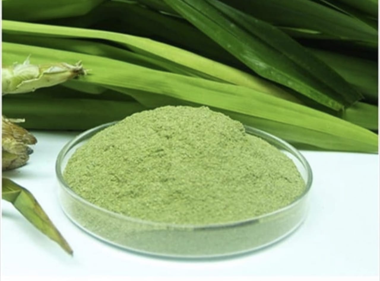 Cara Membuat Masker Daun Pandan dengan Minyak Zaitun untuk Kulit Mulus dan Glowing ala Artis Korea serta Mengatasi Masalah Pori-pori Besar