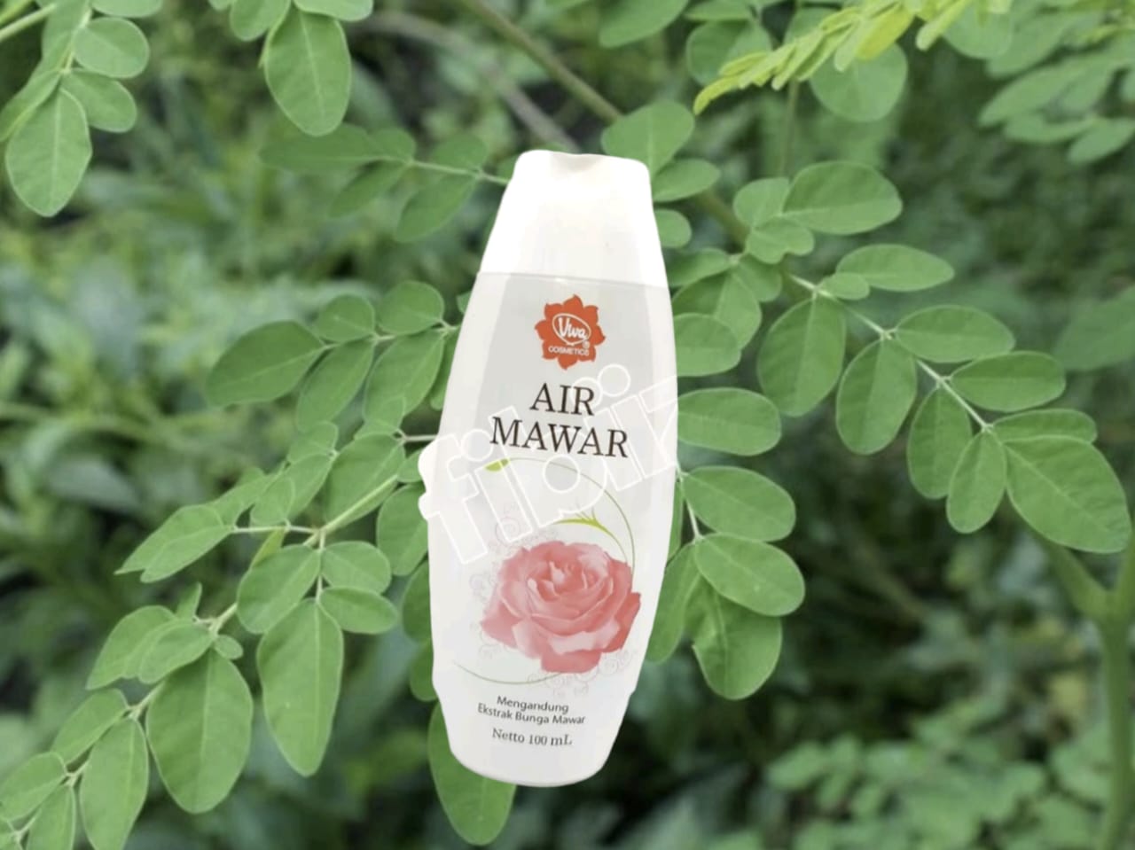 Ini Tips untuk Wajah yang Tampak Kencang dan Bersinar dalam Sekejap dengan Menggunakan Air Mawar Viva dan Daun Kelor. Anda Akan Terlihat 20 Tahun Lebih Muda dari Usia Sebenarnya!