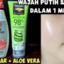 Kembali Awet Muda dengan Bahan Alami! Gel Lidah Buaya + Air Mawar Viva untuk Kulit Bersih, Bebas Flek Hitam. Temukan Cara Penggunaannya di Sini!