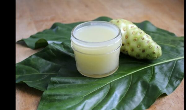 Misteri Kecantikan Terungkap! 4 Langkah Mudah dengan Tepung Daun Mengkudu untuk Awet Muda dan Kulit Bebas Flek Hitam yang Bahkan Diakui di Amerika! Cek Sekarang!