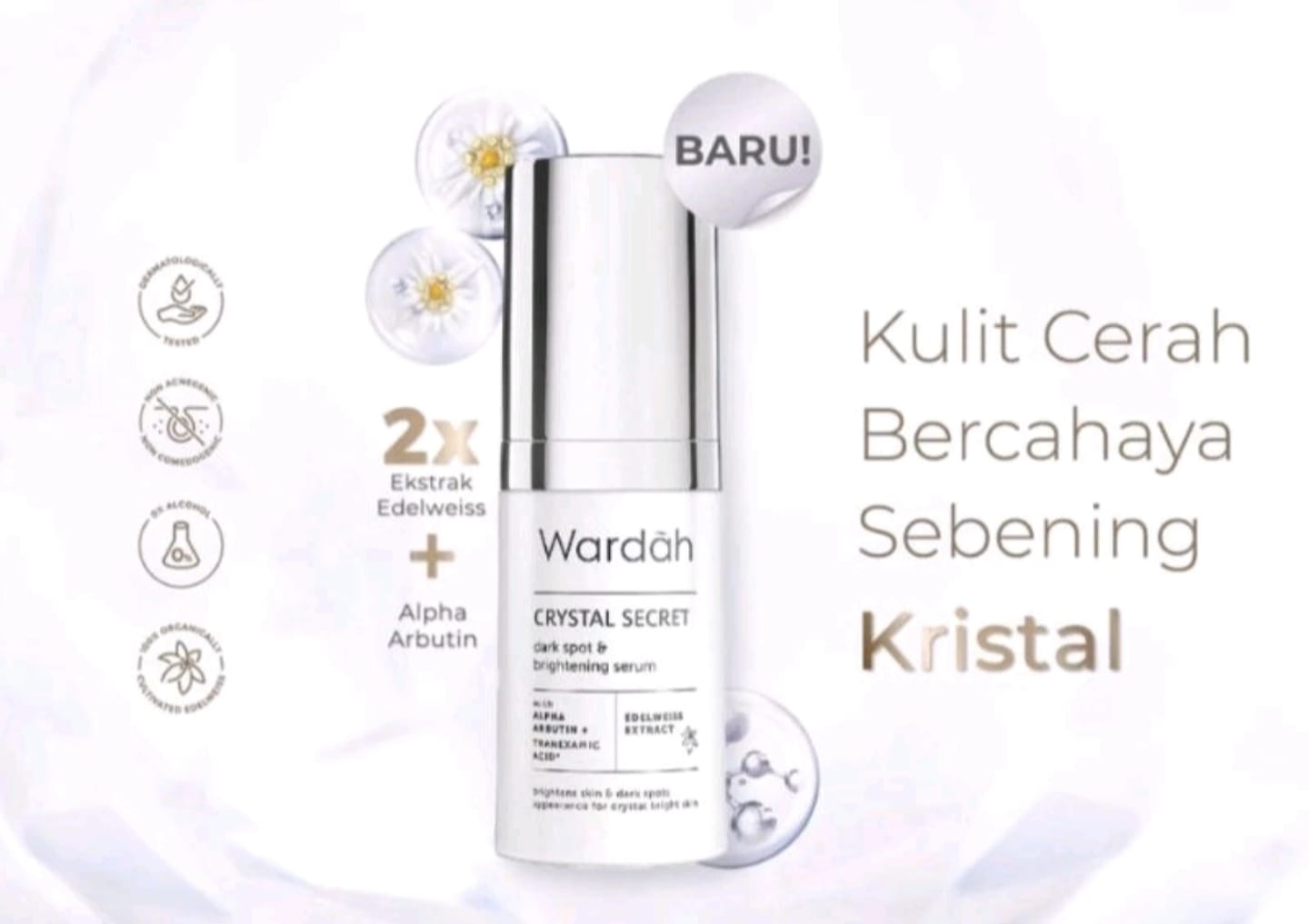 Pilih Salah Satu dari 8 Serum Wajah Terbaik Ini untuk Tampilan Glowing dan Cerah Sepanjang Hari!