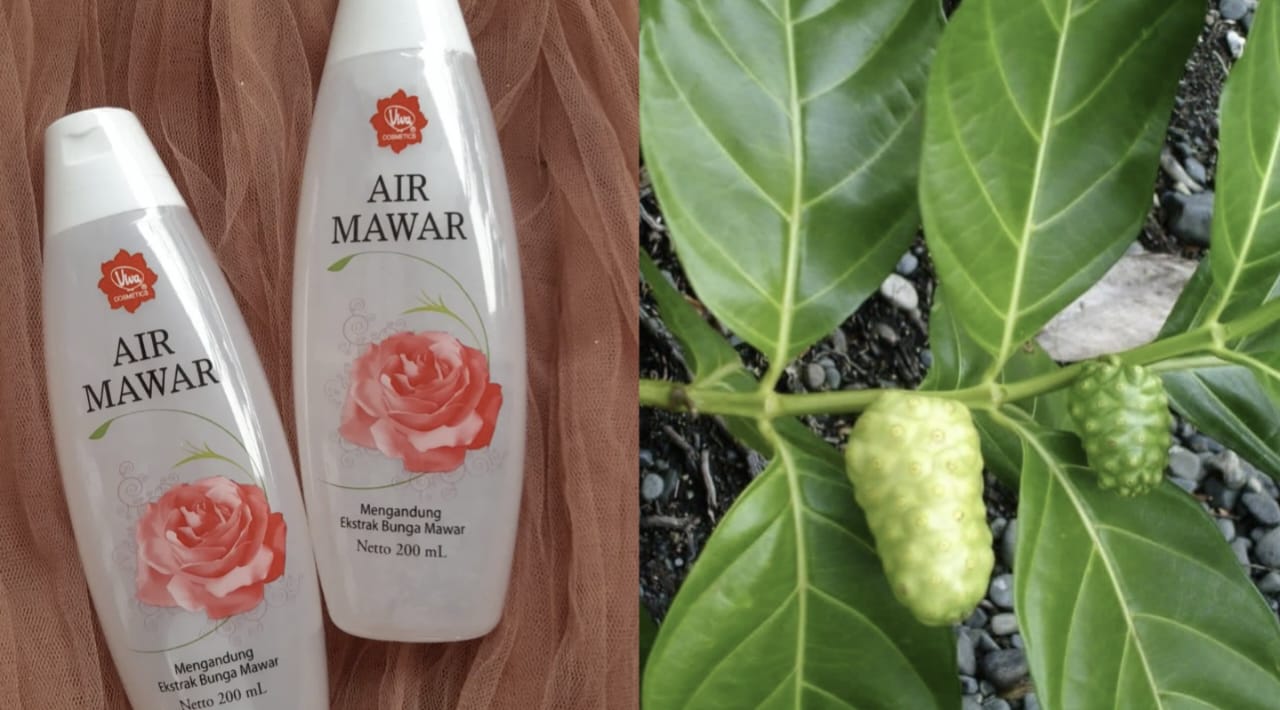Racikan Air Mawar Viva dan Daun Mengkudu Rahasia Awet Muda dan Wajah Glowing yang Permanen dengan 5 Manfaat Terbukti!
