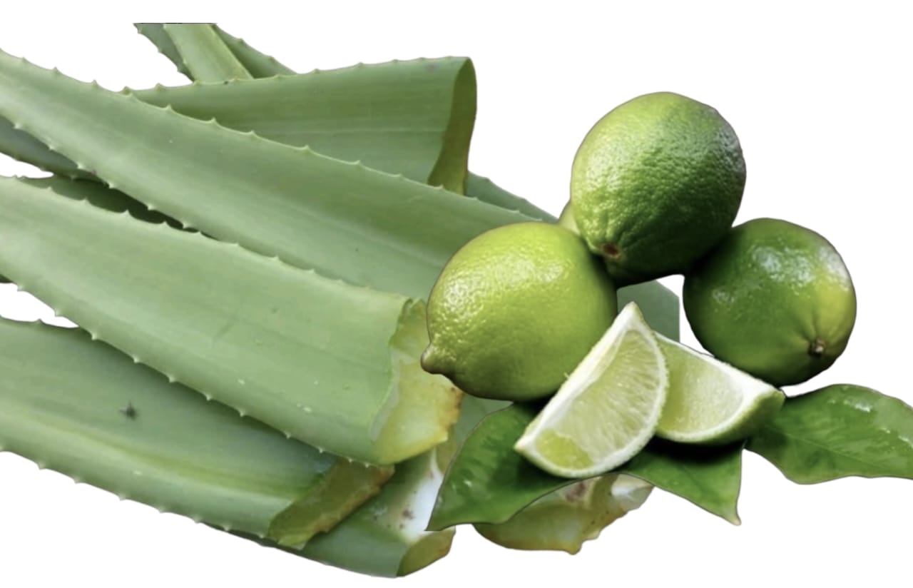 Rahasia 4 Cara Bikin Wajah Putih Glowing Permanen Hanya dengan Lidah Buaya dan Jeruk Nipis! Tidak Hanya Air Mawar, Simak Cara Penggunaannya yang Lengkap di Sini!