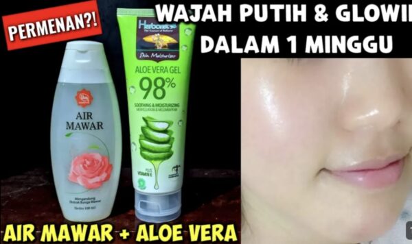 Rahasia Kulit Cerah, Bening, dan Bebas Flek Hitam! Cukup Lakukan Rutin Selama 1 Minggu dengan Air Mawar Viva dan Lidah Buaya Sebagai Skincare Utama. Temukan Petunjuk Lengkap Cara Penggunaannya di Sini!