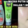 Rahasia Kulit Cerah, Bening, dan Bebas Flek Hitam! Cukup Lakukan Rutin Selama 1 Minggu dengan Air Mawar Viva dan Lidah Buaya Sebagai Skincare Utama. Temukan Petunjuk Lengkap Cara Penggunaannya di Sini!