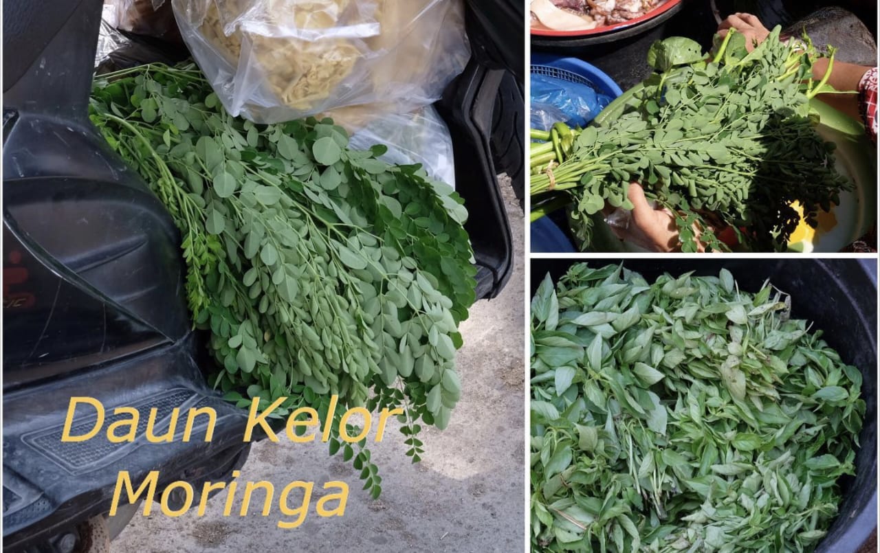 Rahasia Kulit Cerah Merata Seperti Artis Jepang dengan Scrub Daun Kelor dan Bahan Ajaib Ini