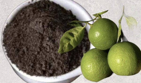 Trik Mencerahkan Kulit dengan Masker Kopi dan Jeruk Nipis: Kulit Cerah dan Mulus dalam 3 Hari