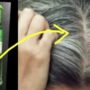 Ubah Rambut Beruban Tanpa Harus Mencabutnya! Inilah 3 Cara Menggunakan Minyak Kayu Putih untuk Mengatasi Uban dan Membuatnya Hilang Selamanya