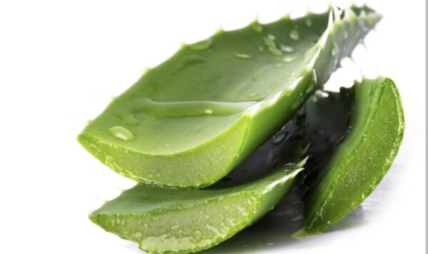 11 Manfaat Lidah Buaya untuk Mengatasi Flek Hitam di Wajah dengan Mudah